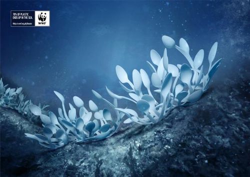 Wwf-marine-protection-campaign-fan-corals-small-49272